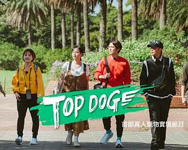 杏爱吧《TOP DOG》免费在线观看