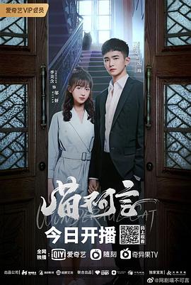 村花论坛《喵不可言》免费在线观看