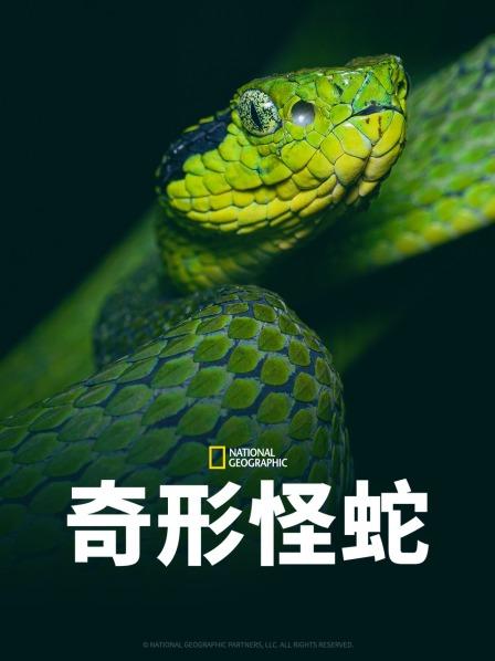 村花论坛《奇形怪蛇》免费在线观看